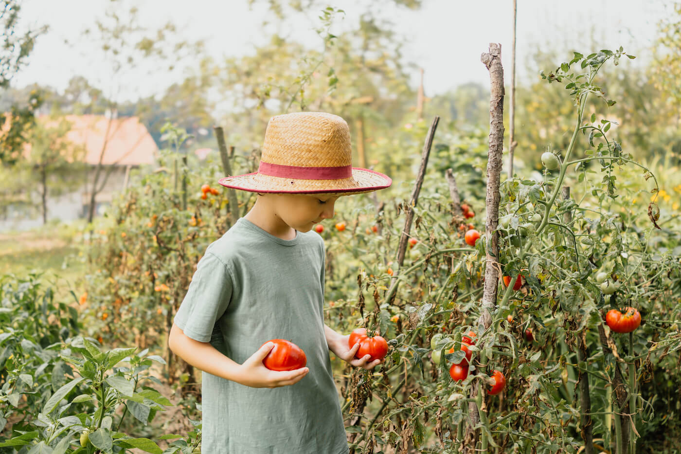 organic lifestyle